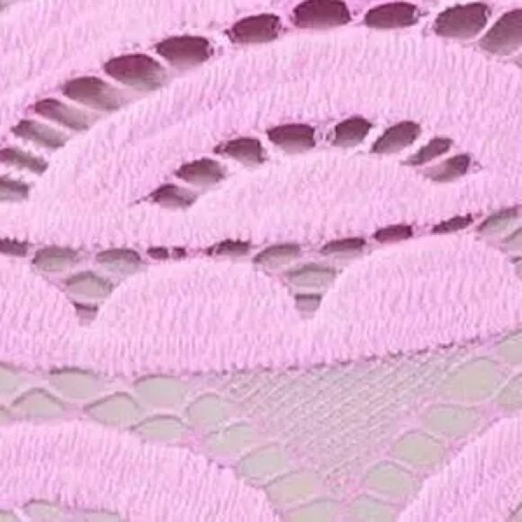 PQ Fanned Lace Bikini Bottoms NWOT - Picture 3 of 7